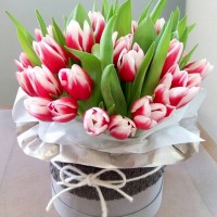 29 красных тюльпанов в шляпной коробке "Очарование"